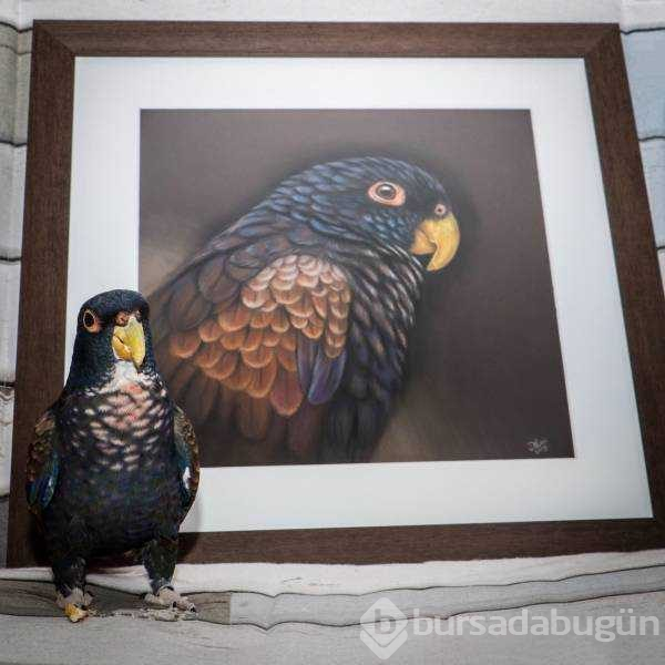 Günün en çok paylaşılan fotoğrafları (14.02.2019)