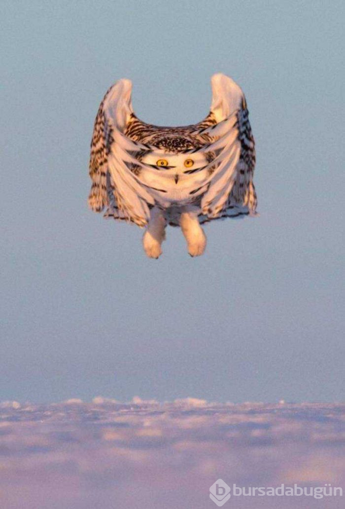 Günün en çok paylaşılan fotoğrafları (14.02.2019)