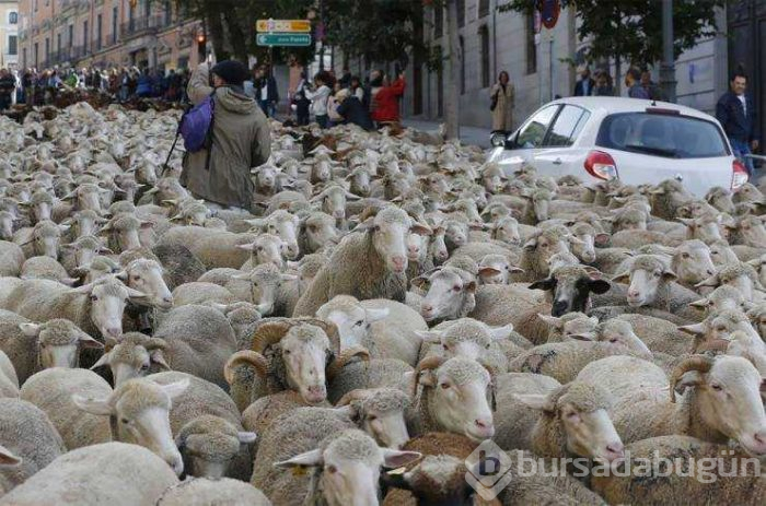 Günün en çok paylaşılan fotoğrafları (14.02.2019)