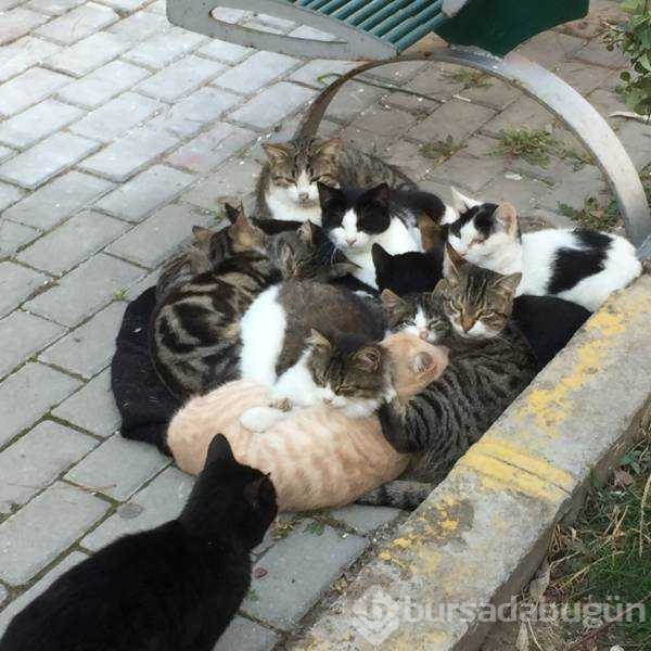 Günün en çok paylaşılan fotoğrafları (14.02.2019)