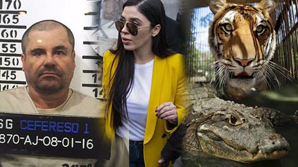 El Chapo davasında ortaya çıkan 14 rahatsız edici gerçek