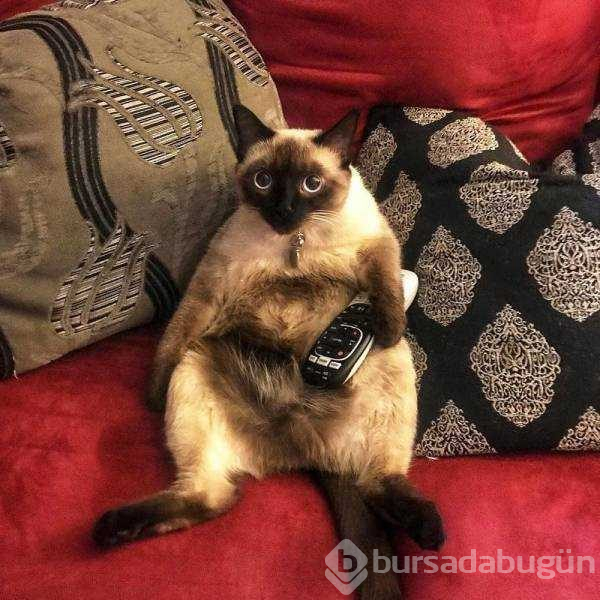 Günün en çok paylaşılan fotoğrafları (15.02.2019)