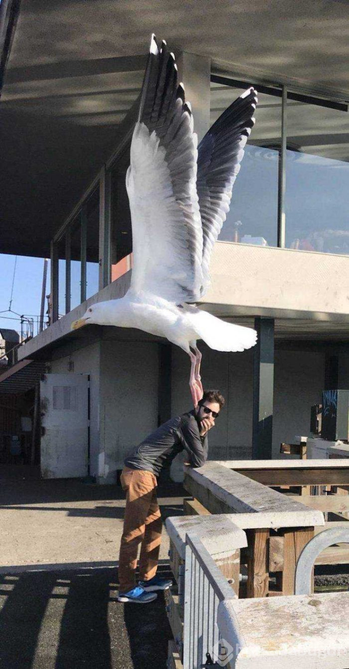 Günün en çok paylaşılan fotoğrafları (15.02.2019)
