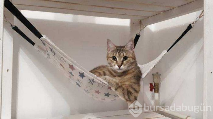 Günün en çok paylaşılan fotoğrafları (15.02.2019)