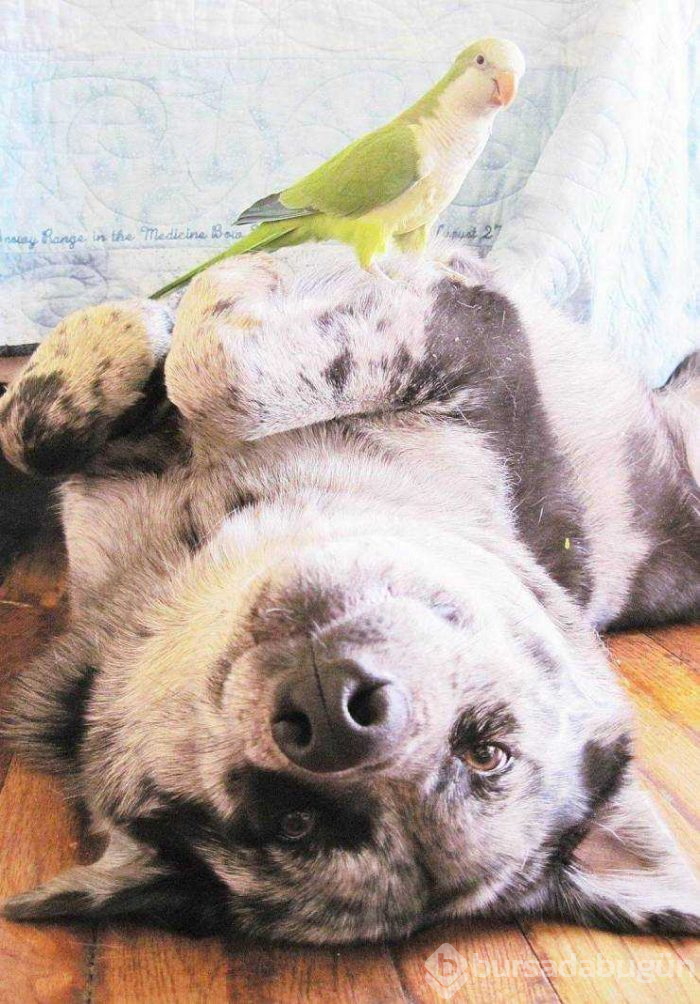 Günün en çok paylaşılan fotoğrafları (15.02.2019)