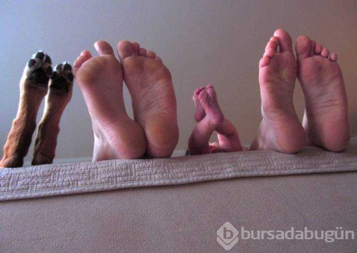 Günün en çok paylaşılan fotoğrafları (15.02.2019)