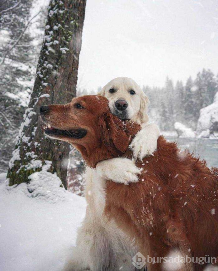 Günün en çok paylaşılan fotoğrafları (15.02.2019)