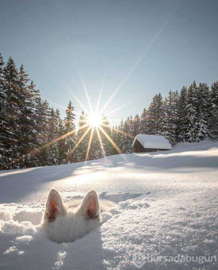 Günün en çok paylaşılan fotoğrafları (15.02.2019)