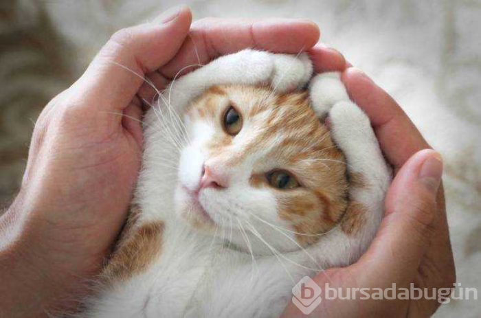 Günün en çok paylaşılan fotoğrafları (15.02.2019)