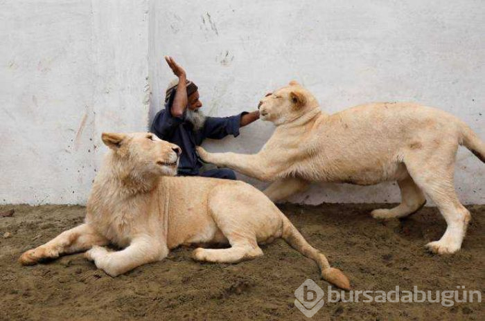 Günün en çok paylaşılan fotoğrafları (15.02.2019)