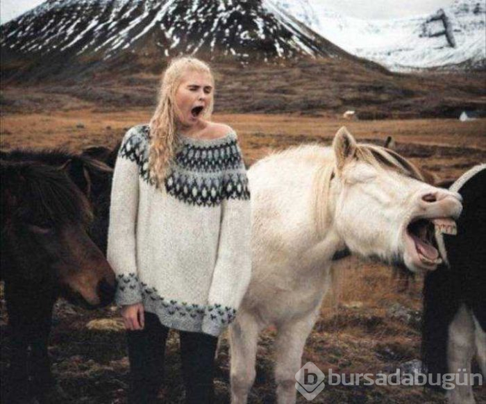 Günün en çok paylaşılan fotoğrafları (15.02.2019)