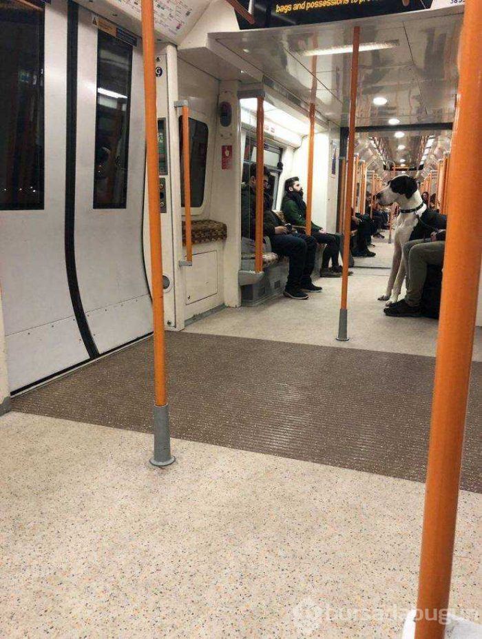 Günün en çok paylaşılan fotoğrafları (15.02.2019)