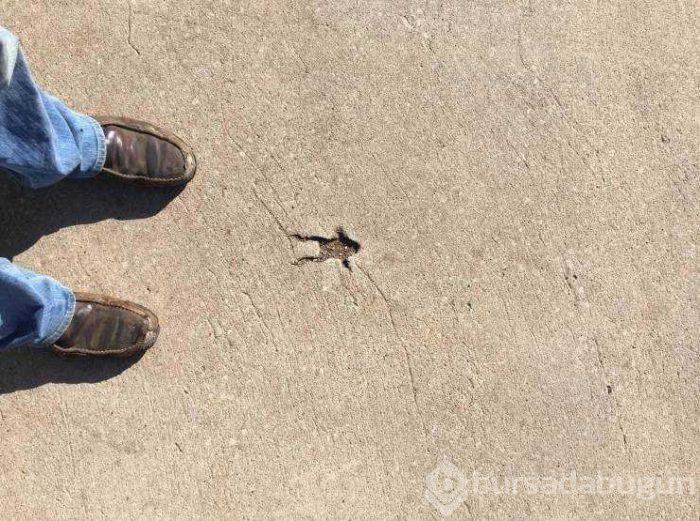 Günün en çok paylaşılan fotoğrafları (15.02.2019)