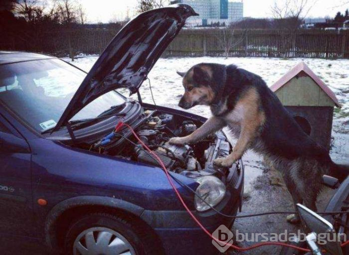 Günün en çok paylaşılan fotoğrafları (15.02.2019)