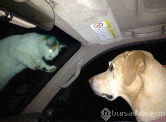Günün en çok paylaşılan fotoğrafları (15.02.2019)