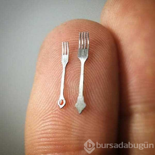 Günün en çok paylaşılan fotoğrafları (15.02.2019)