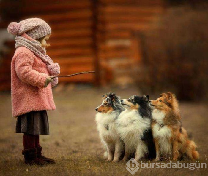 Günün en çok paylaşılan fotoğrafları (15.02.2019)