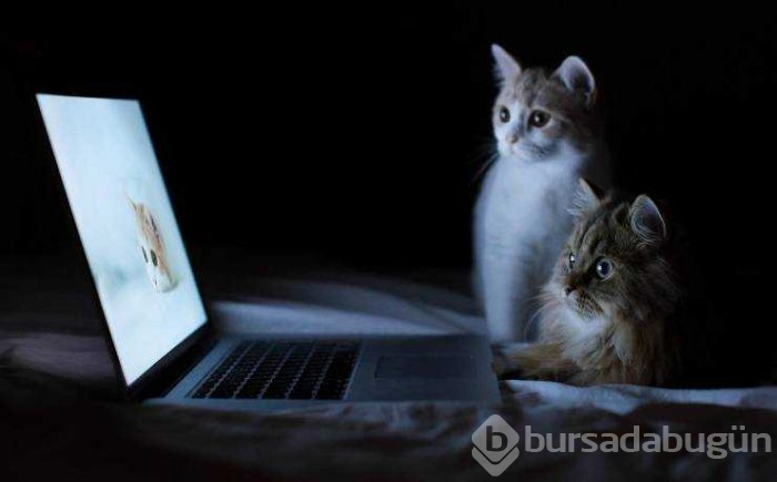 Günün en çok paylaşılan fotoğrafları (15.02.2019)