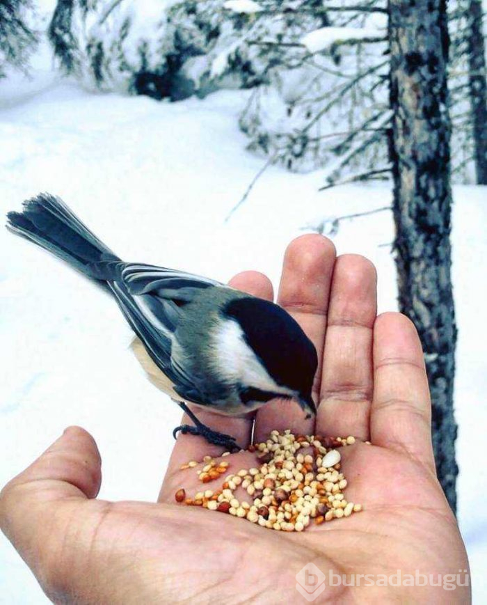 Günün en çok paylaşılan fotoğrafları (15.02.2019)