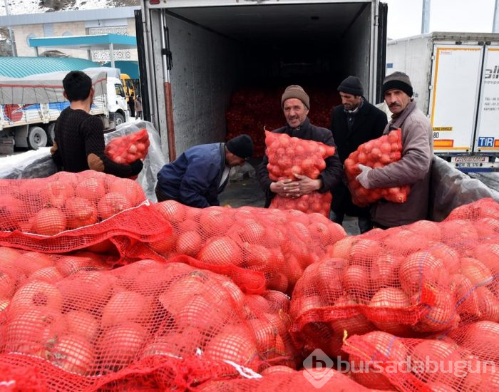İran'dan soğan ithalatı başladı