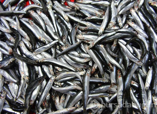 Sperm kalitesini artıran besinler!
