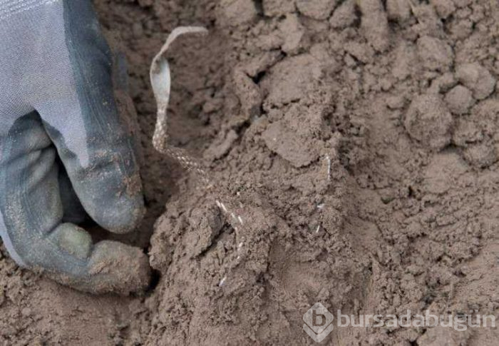 Efsanenin hazinesini 13 yaşındaki çocuk bulmuş olabilir
