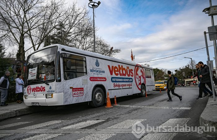 İBB'nin hayvanlar için projesi dünya basınında
