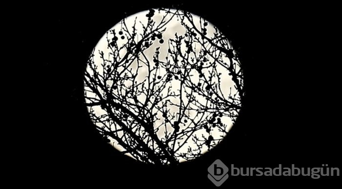 "Süper Ay" manzarası büyüledi
