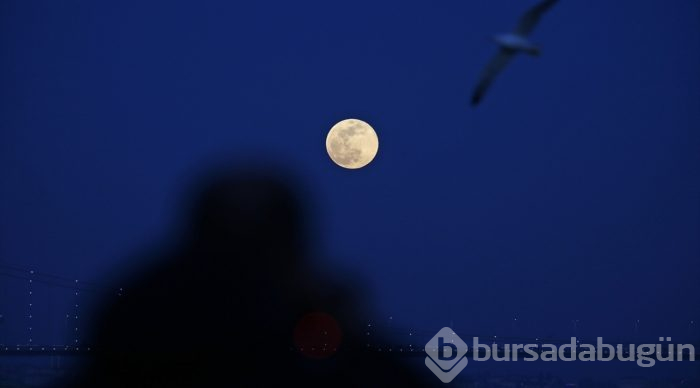 "Süper Ay" manzarası büyüledi
