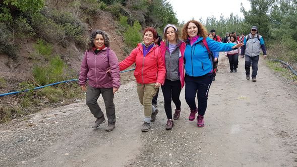 Yanan kayayı merak edenler akın akın gidiyor!
