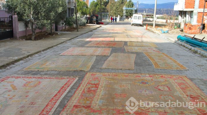 Üzerinden araba geçen halıların değeri artıyor
