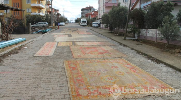 Üzerinden araba geçen halıların değeri artıyor
