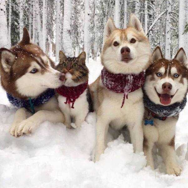 Günün en çok paylaşılan fotoğrafları (21.02.2019)