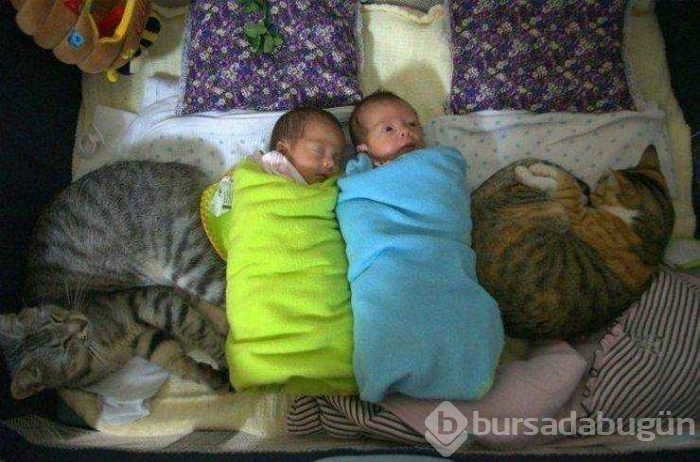 Günün en çok paylaşılan fotoğrafları (21.02.2019)