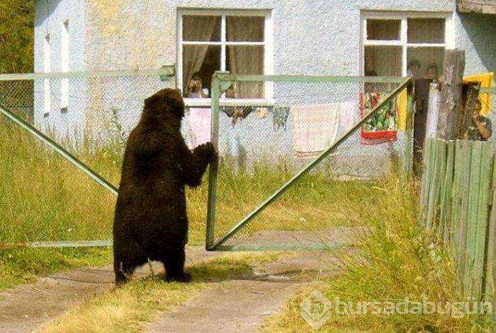 Günün en çok paylaşılan fotoğrafları (21.02.2019)