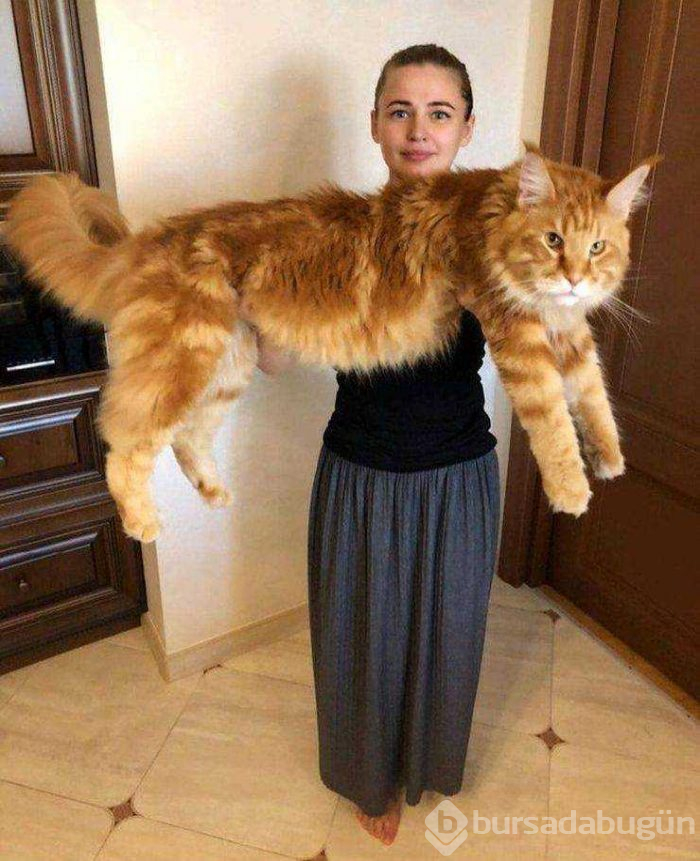 Günün en çok paylaşılan fotoğrafları (21.02.2019)