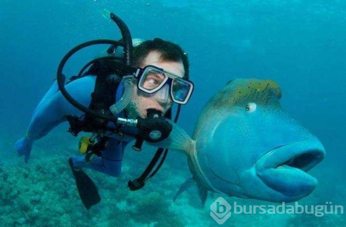 Günün en çok paylaşılan fotoğrafları (21.02.2019)