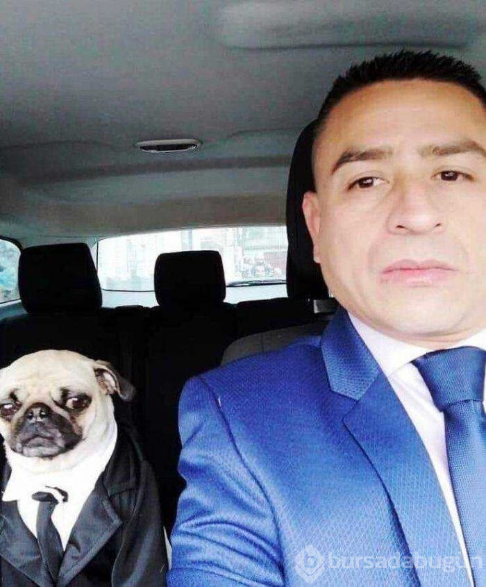 Günün en çok paylaşılan fotoğrafları (21.02.2019)