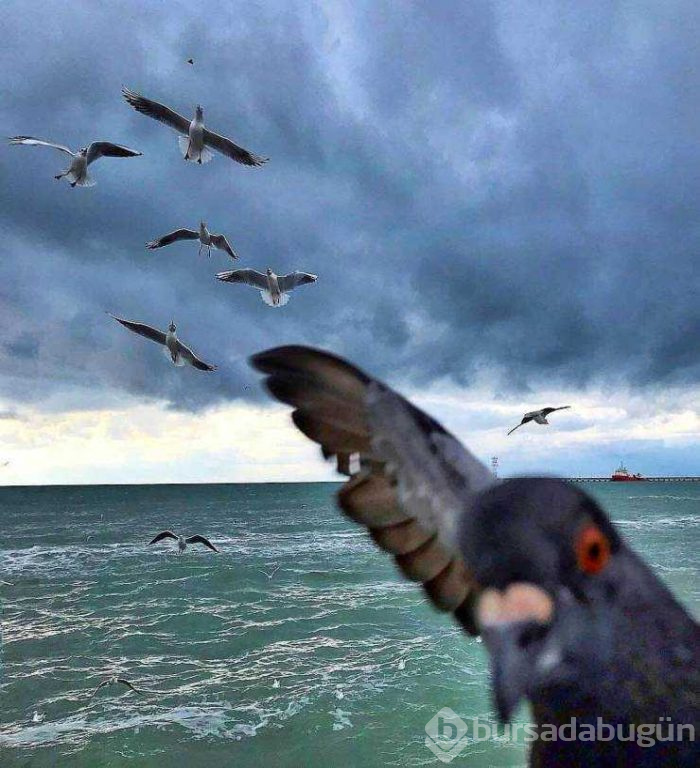 Günün en çok paylaşılan fotoğrafları (21.02.2019)