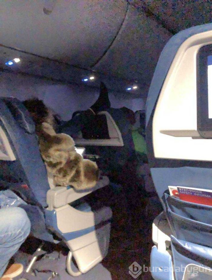 Günün en çok paylaşılan fotoğrafları (21.02.2019)