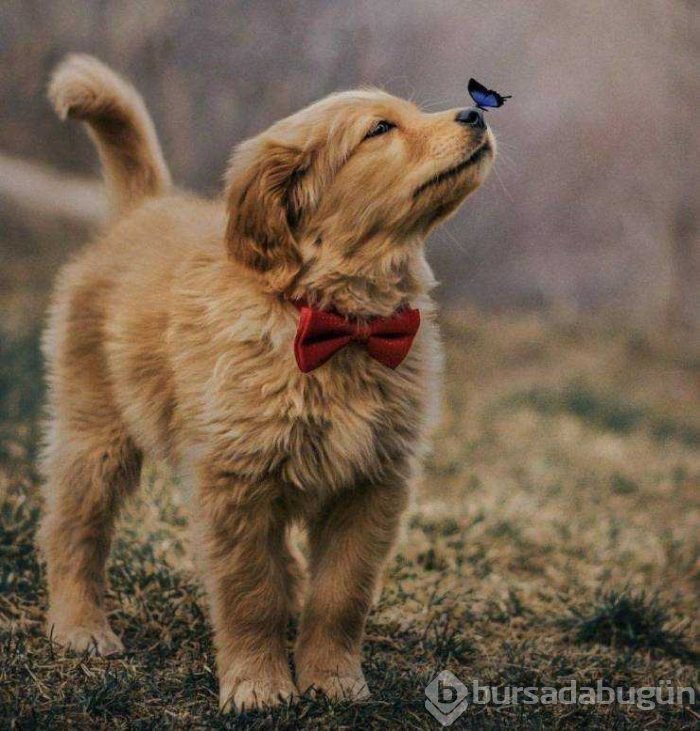 Günün en çok paylaşılan fotoğrafları (22.02.2019)