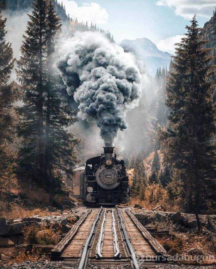 Günün en çok paylaşılan fotoğrafları (22.02.2019)