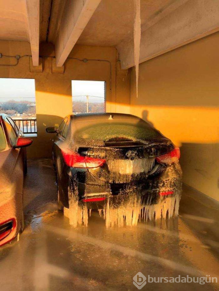Günün en çok paylaşılan fotoğrafları (22.02.2019)