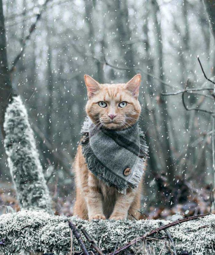 Günün en çok paylaşılan fotoğrafları (22.02.2019)