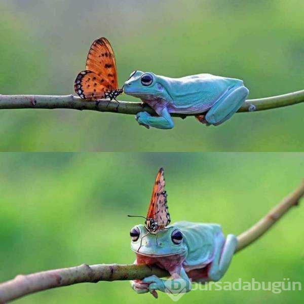 Günün en çok paylaşılan fotoğrafları (22.02.2019)