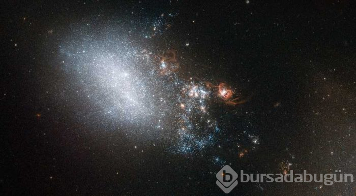 Alman bilim insanlarından 'uzaylı' uyarısı
