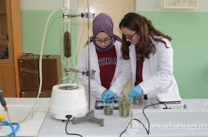 Defneyaprağı, adaçayı ve biberiyeden plastik ürettiler

