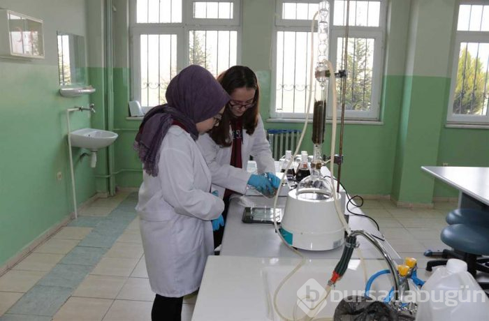 Defneyaprağı, adaçayı ve biberiyeden plastik ürettiler
