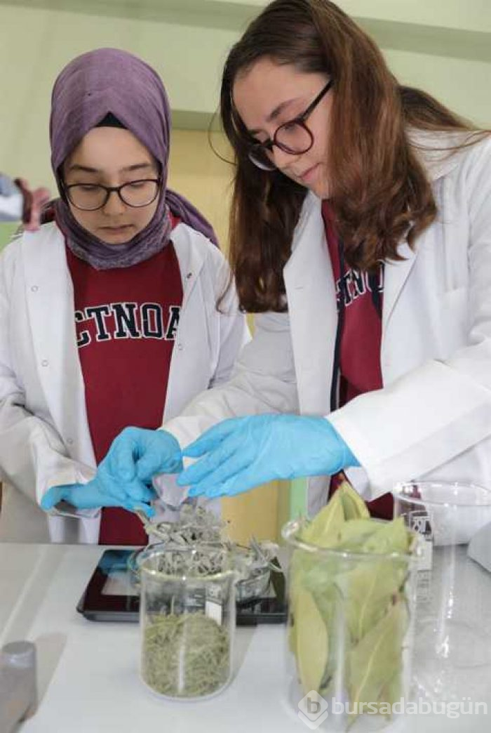 Defneyaprağı, adaçayı ve biberiyeden plastik ürettiler
