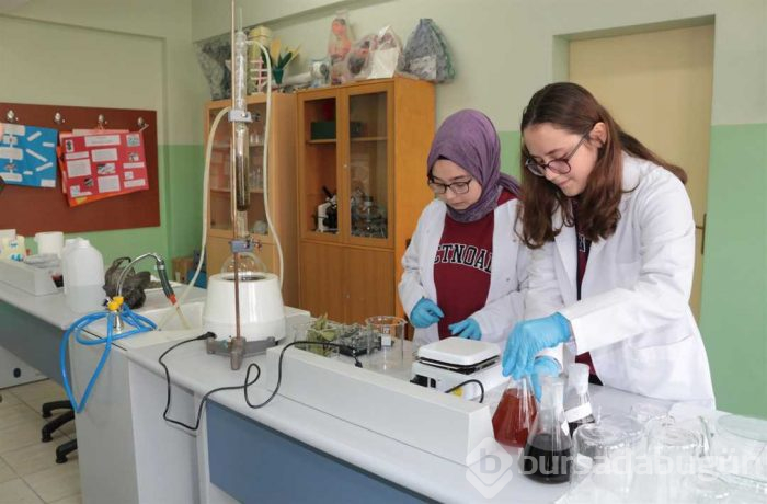 Defneyaprağı, adaçayı ve biberiyeden plastik ürettiler

